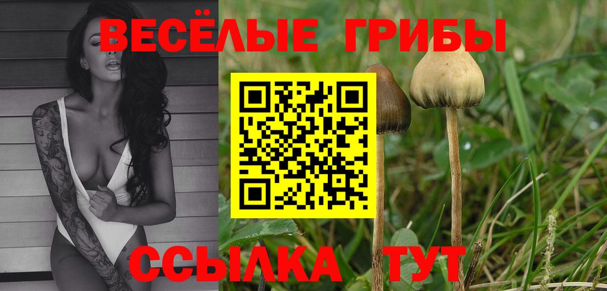 Сальск  Галлюциногенные грибы мицелий  Галлюциногенные грибы GOLDEN TEACHER  Вход с VPN 