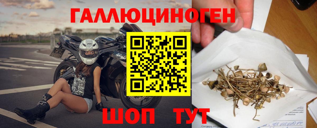 Псилоцибиновые грибы мухоморы Сальск